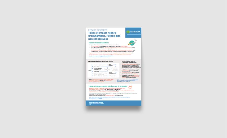 Effets du tabagisme sur la santé rénale, urinaire et sexuelle : mécanismes physiopathologiques et données cliniques.